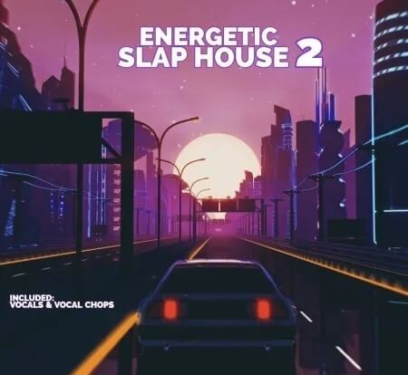 Audentity Records Energetic Slap House 2 WAV Synth Presets